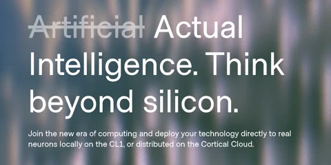 A Cortical Labs fejlesztői dokumentációjának képernyőképe, amely az SDK telepítéséhez szükséges Python kódot mutatja.