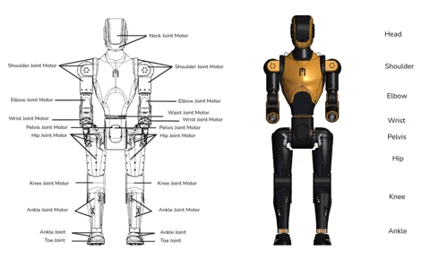 Diagram of the Asimov 1 humanoid robot showing the location of all its joint motors.