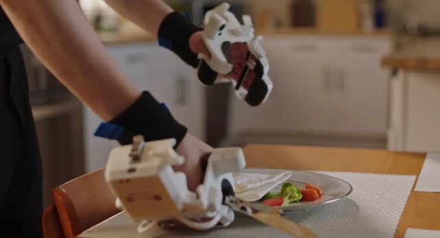 Robotképzés megosztottsága: Emberi tanárok vs. YouTube-maratonok