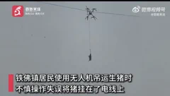 Drónnal reptettek malacot, 10 órás áramszünet lett a vége