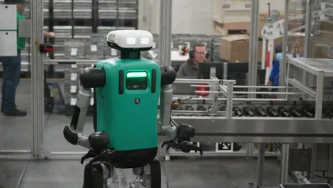 Munkába állnak a Toyota humanoid robotjai Kanadában