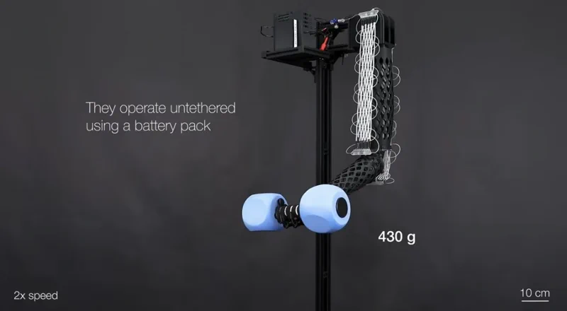 Ez a mosható műizom saját súlya kétszázszorosát is elbírja