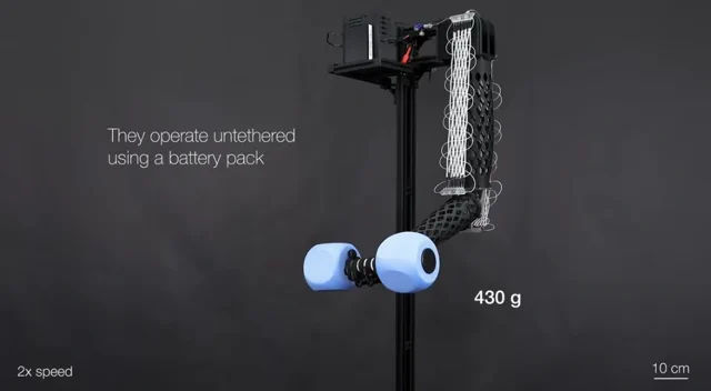 Ez a mosható műizom saját súlya kétszázszorosát is elbírja