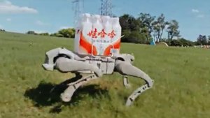 Az AgiBot trió négylábú robotot szabadít el