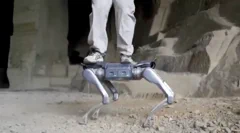 Unitree A2: A csillagvadász, amely újradefiniálja a robotikát