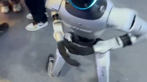 Unitree H1 megtámadja Dennis Hongot, elmarad a bocsánatkérés