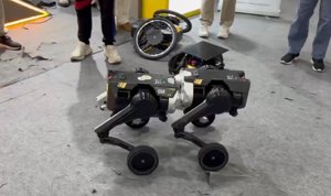 Robotok összeolvadnak az IROS 2025-ön