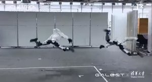 A Galbot robotja jobb mozdulatokkal bír, mint te