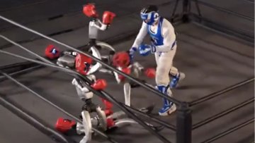 Robot 'Bunko' Szabályai: Csak Egy Van