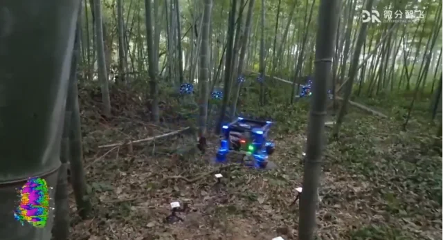 Zhejiang Uni drónraj rajzik sűrű erdőben