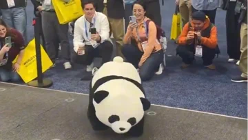 Az AGIBOT pandarobotja szaltózik. Komolyan.