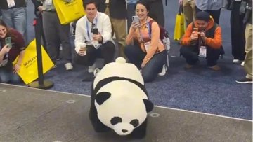 Az AGIBOT pandarobotja szaltózik. Komolyan.