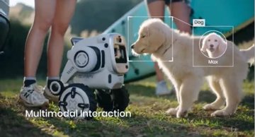 Rovar: A robotizált túratárs, aki őrzi a táborhelyedet