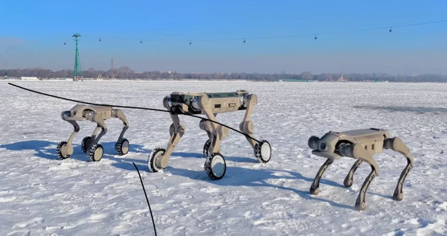 A Genisom robotjai jobbak a téli sportokban, mint te