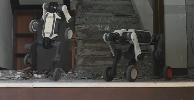 A Deep Robotics Lynx S10 egy apró négylábú szörnyeteg
