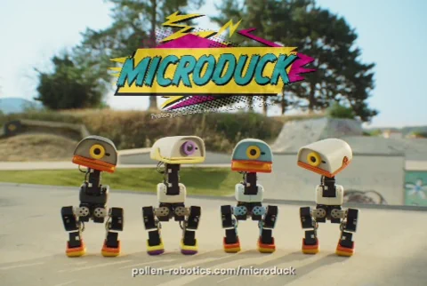Ez a 399 dolláros robotkacsa megtanít az AI-tanulásra