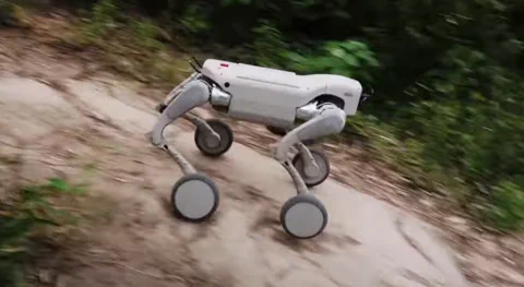 GENISOM L2 robotkutya: 150 kg teherbírás és 40 fokos emelkedők