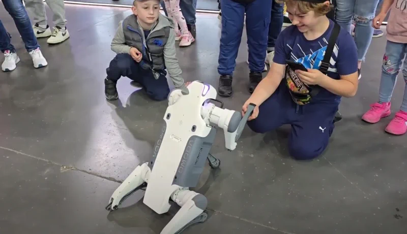 Robotkutya nyűgözi le a gyerekeket a 2025-ös Poznańi Autószalonon